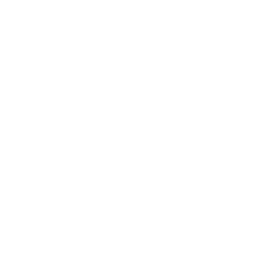 icono estetica dental