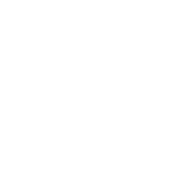 icono estetica dental