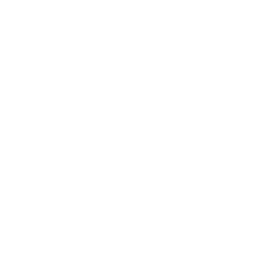 icono estetica dental