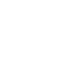 icono estetica dental