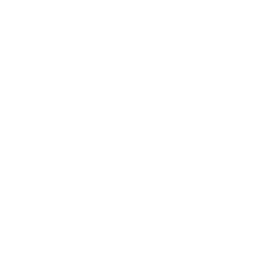 icono estetica dental