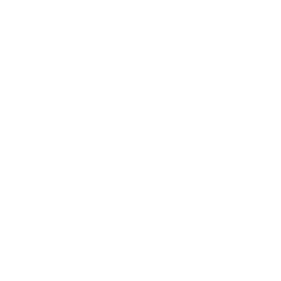 icono estetica dental